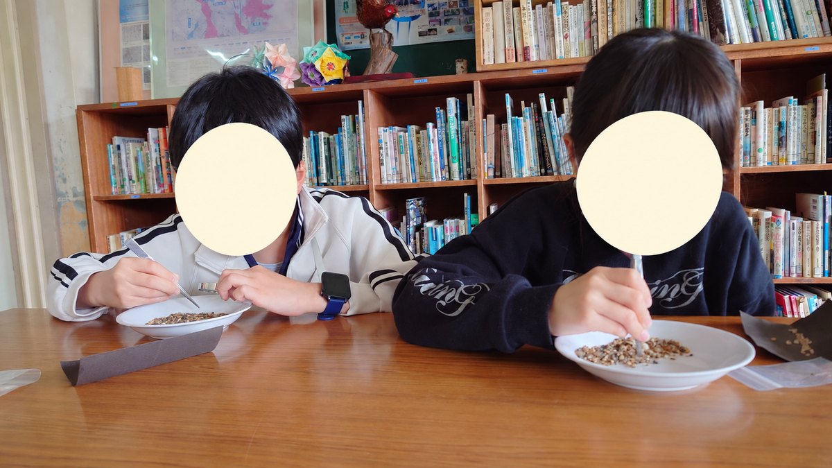 本棚の前で、皿の上の粒を道具で観察する二人