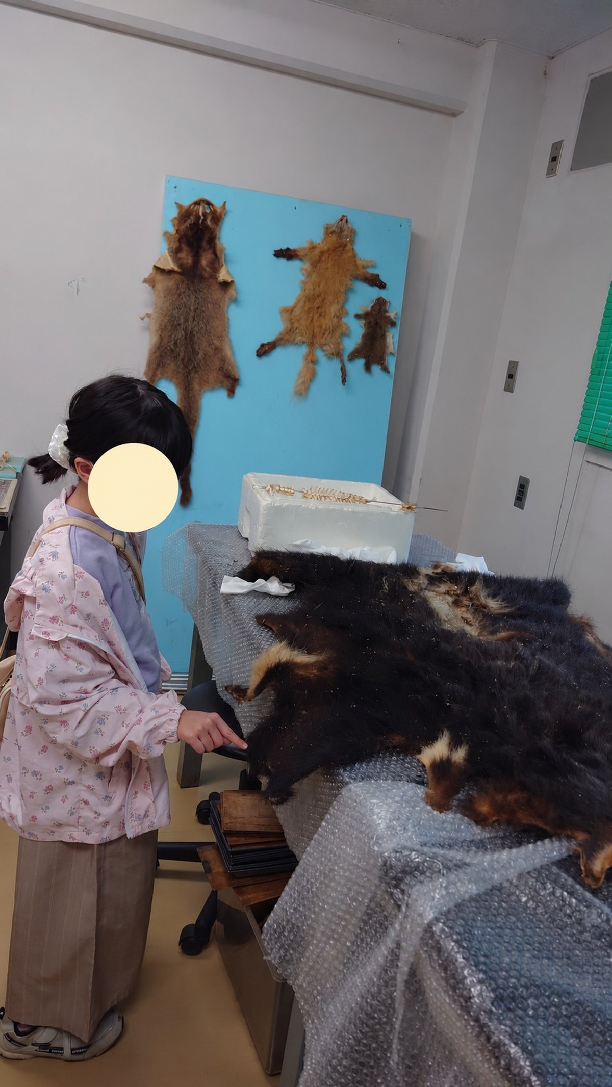 展示された動物の標本を見ている様子。顔は保護のため加工